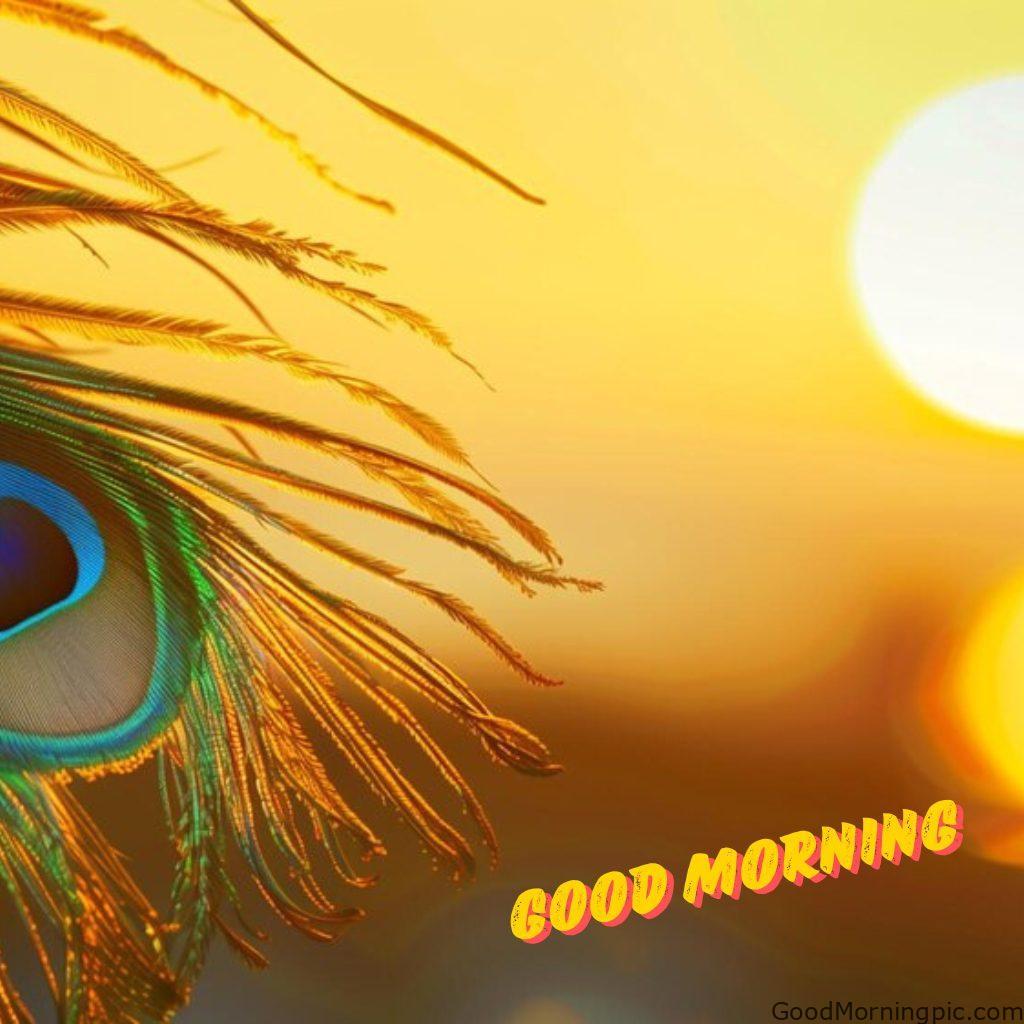 124+ Krishna Good Morning Images to Download and Share Daily 66 Shri Krishna Good Morning Wallpapers 4 Krishna Good Morning Images