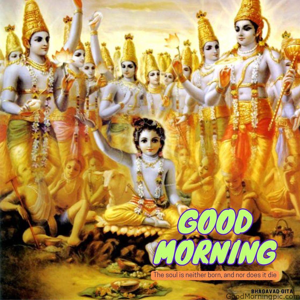 124+ Krishna Good Morning Images to Download and Share Daily 118 bhagavad gita good morning quotes 5 Krishna Good Morning Images