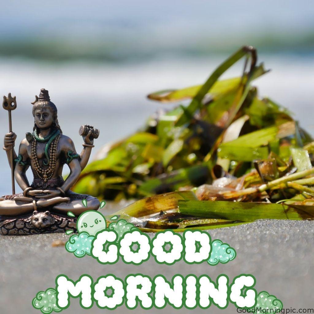 161+ Shiva Good Morning Images 21 shiv good morning images 12 Shiva Good Morning Images