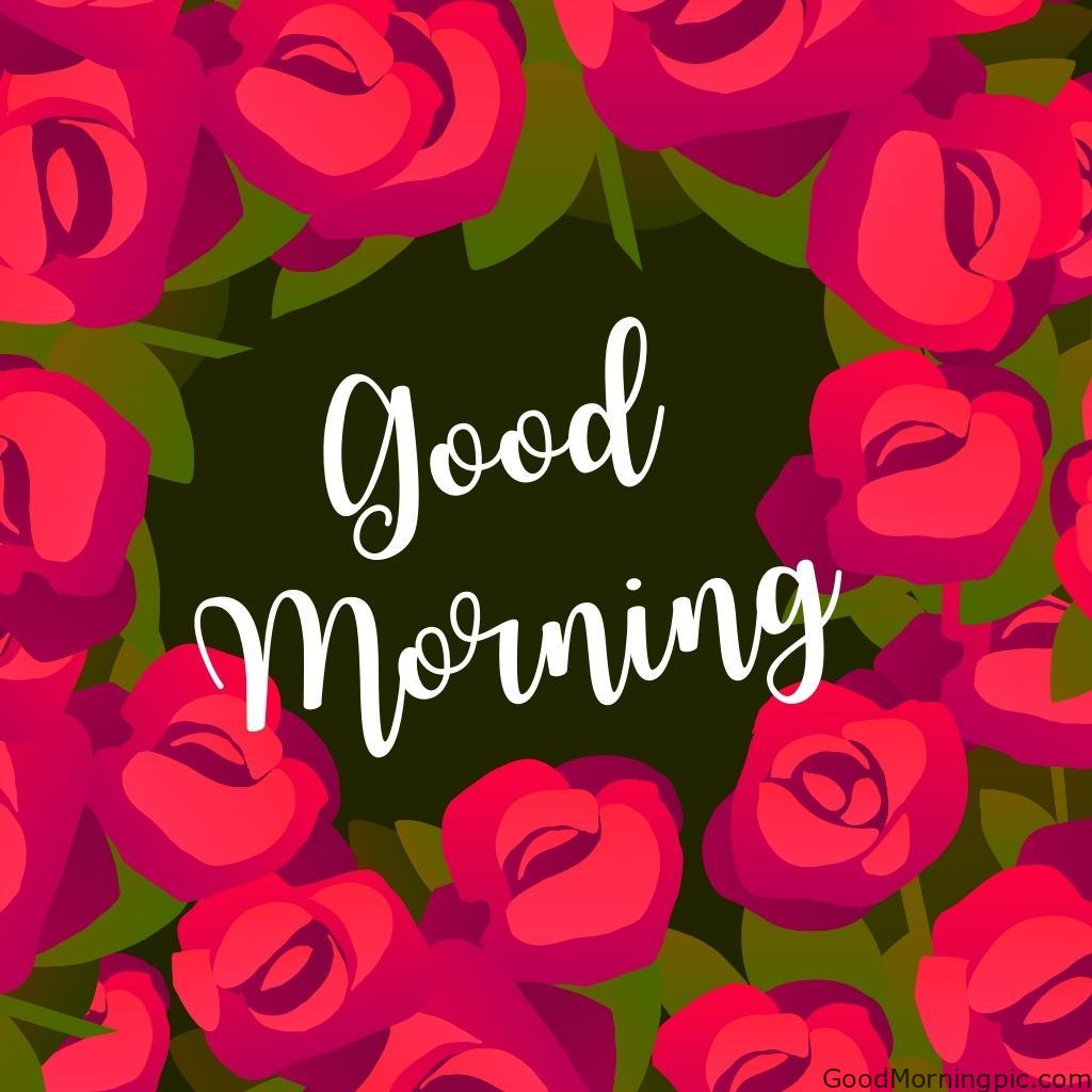 50+ Dhan Nirankar Ji And Mata Sudiksh Good Morning images 50 Rise and Shine with the Grace of Nirankar Ji Dhan Nirankar Ji