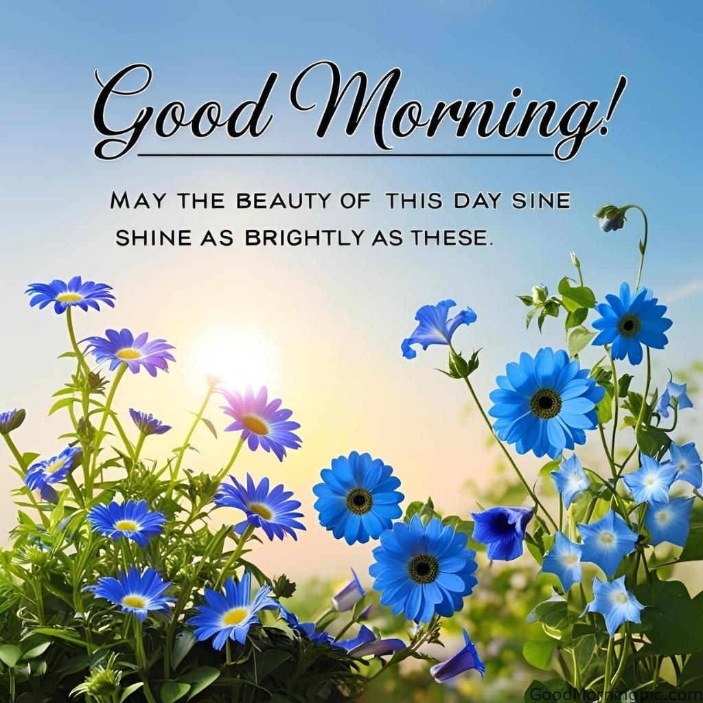 301+ Good Morning Flowers Images to Brighten Your Day 95 Blue Flowers Good Morning Images 4 Good Morning Flowers Images