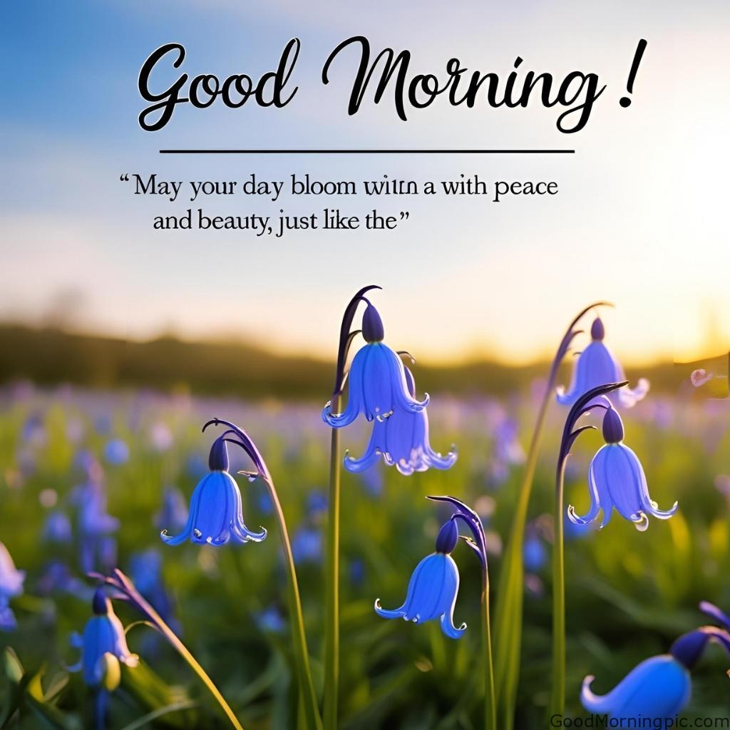 301+ Good Morning Flowers Images to Brighten Your Day 92 Blue Flowers Good Morning Images Good Morning Flowers Images