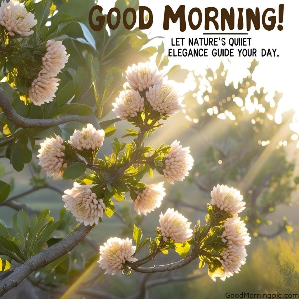 301+ Good Morning Flowers Images to Brighten Your Day 292 Chafa Flower Images with Good Morning 4 Good Morning Flowers Images