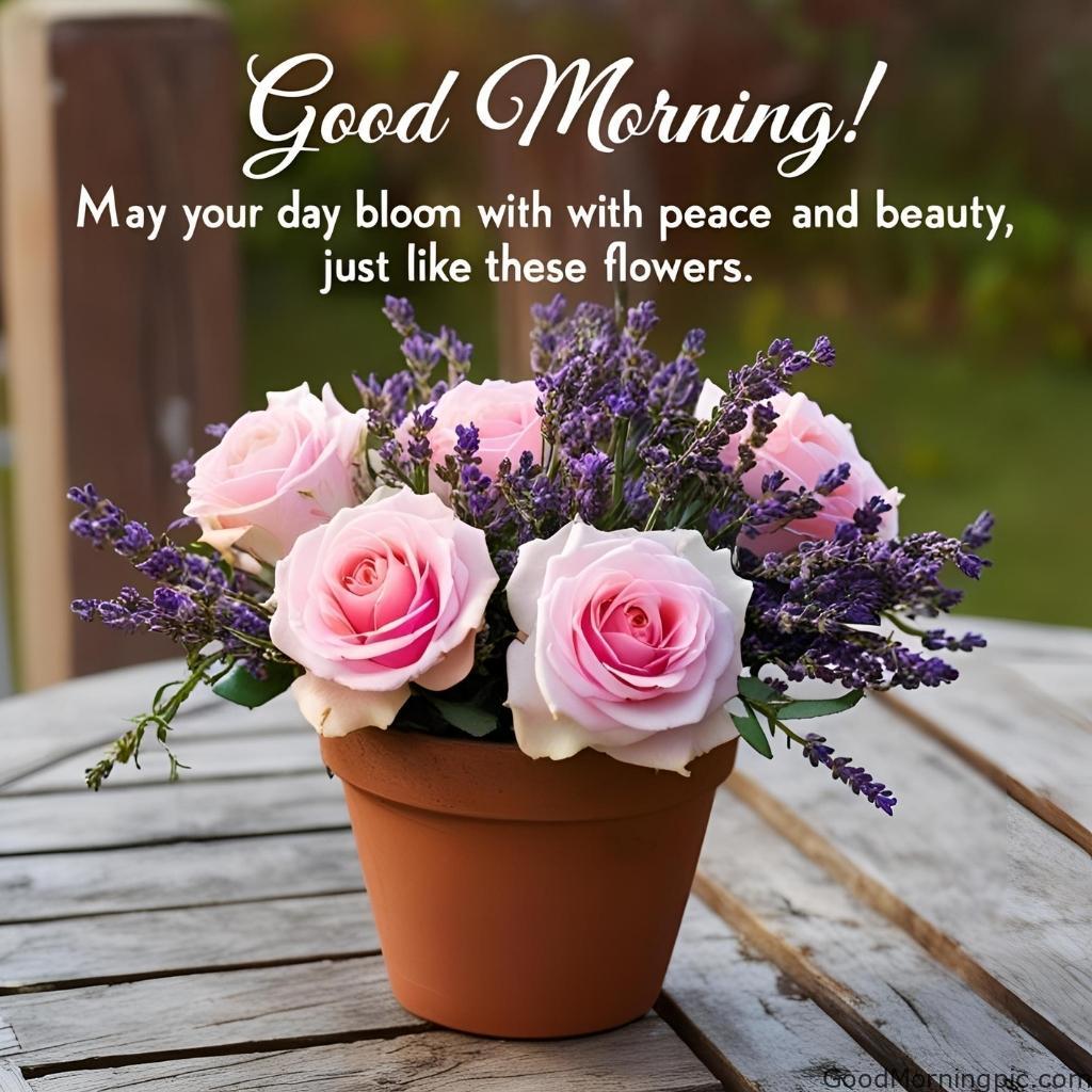 301+ Good Morning Flowers Images to Brighten Your Day 159 Good Morning Flower Pot Images 3 Good Morning Flowers Images