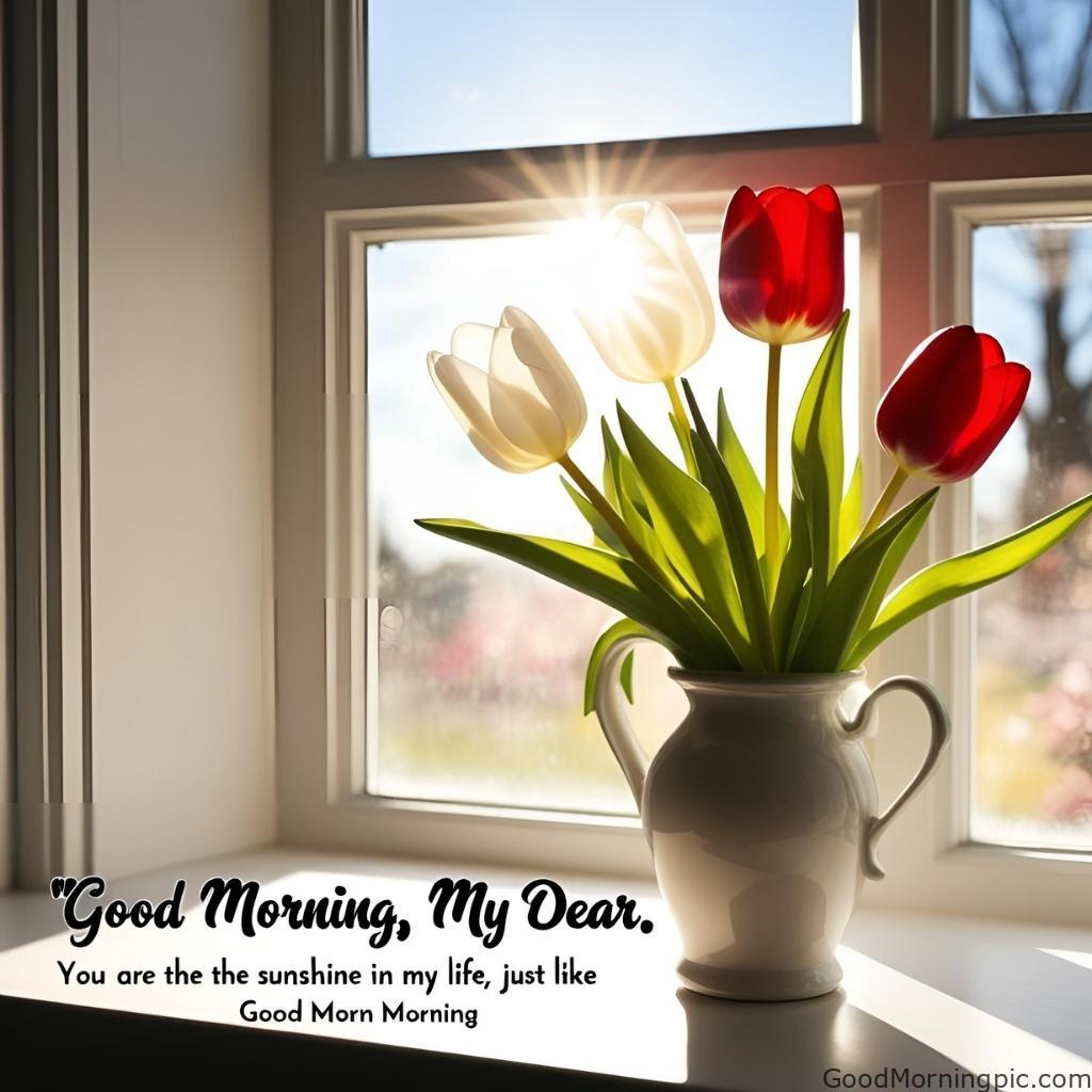 301+ Good Morning Flowers Images to Brighten Your Day 211 Good Morning Flowers Images for Husband 5 Good Morning Flowers Images