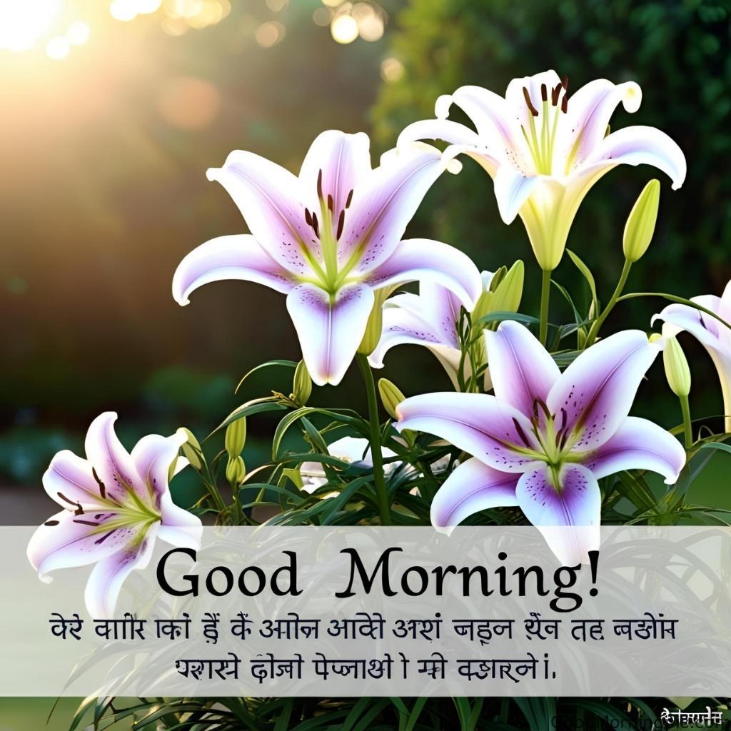 301+ Good Morning Flowers Images to Brighten Your Day 218 Good Morning Flowers Images in Hindi 2 Good Morning Flowers Images