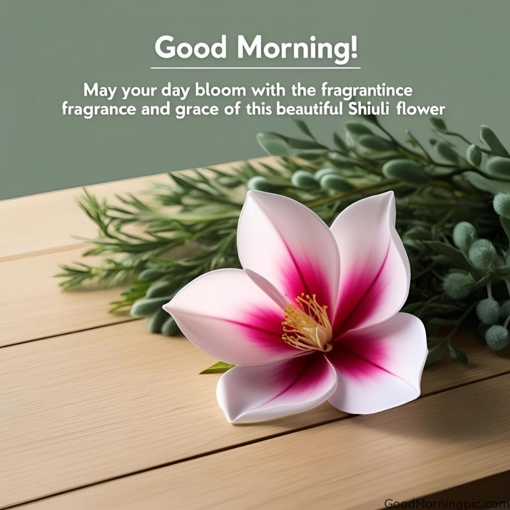 301+ Good Morning Flowers Images to Brighten Your Day 228 Good Morning Image with Shiuli Flower 2 Good Morning Flowers Images