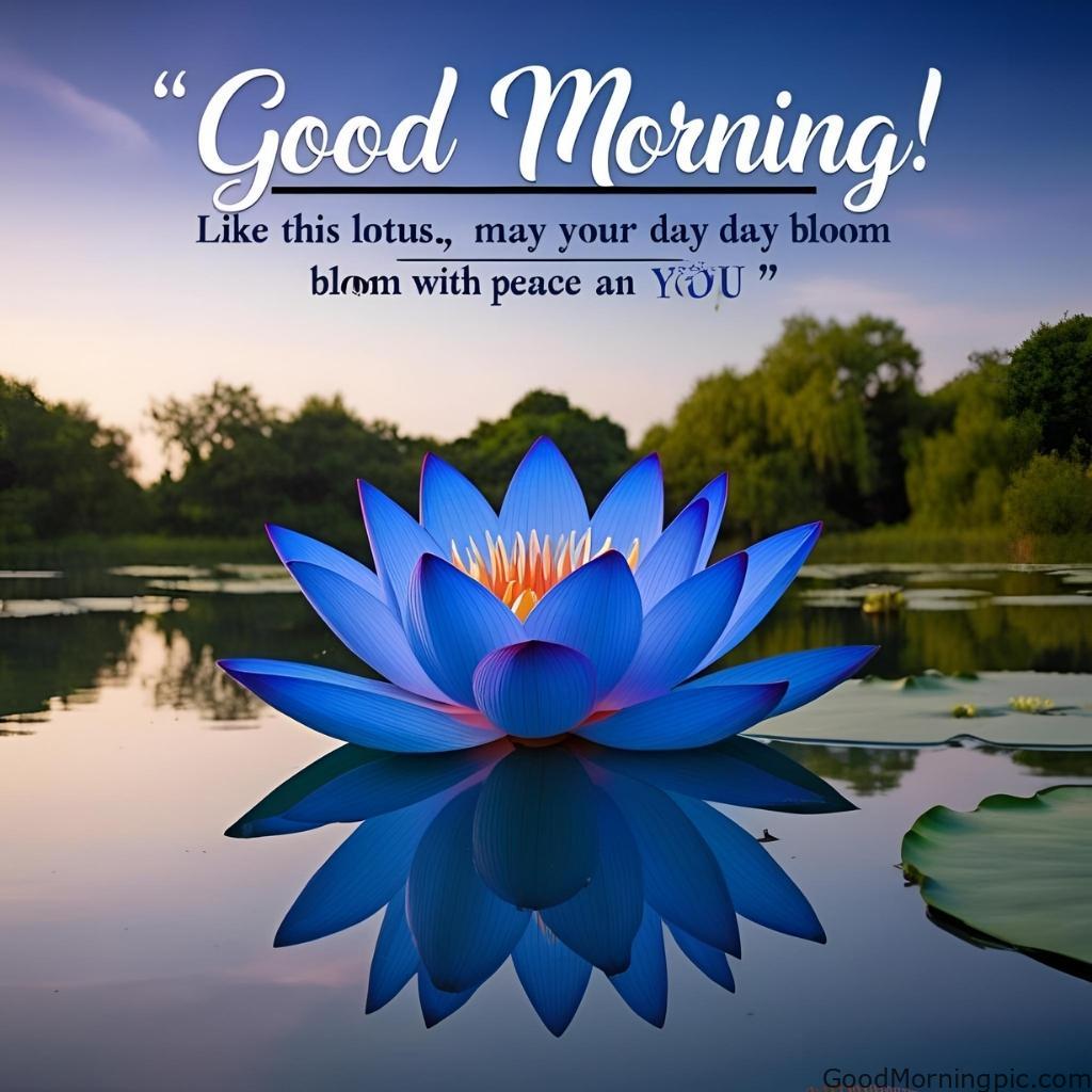 301+ Good Morning Flowers Images to Brighten Your Day 241 Good Morning Images with Exotic Flowers 4 Good Morning Flowers Images