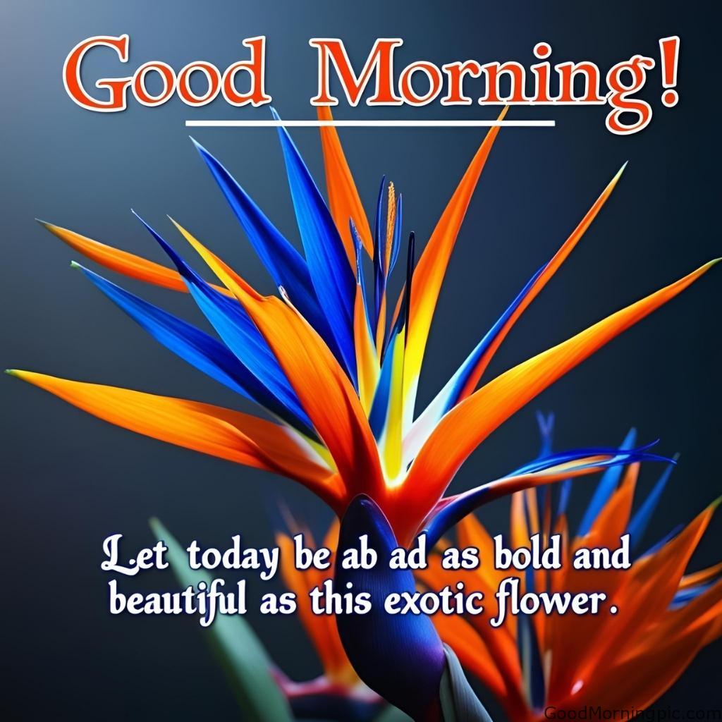 301+ Good Morning Flowers Images to Brighten Your Day 238 Good Morning Images with Exotic Flowers Good Morning Flowers Images