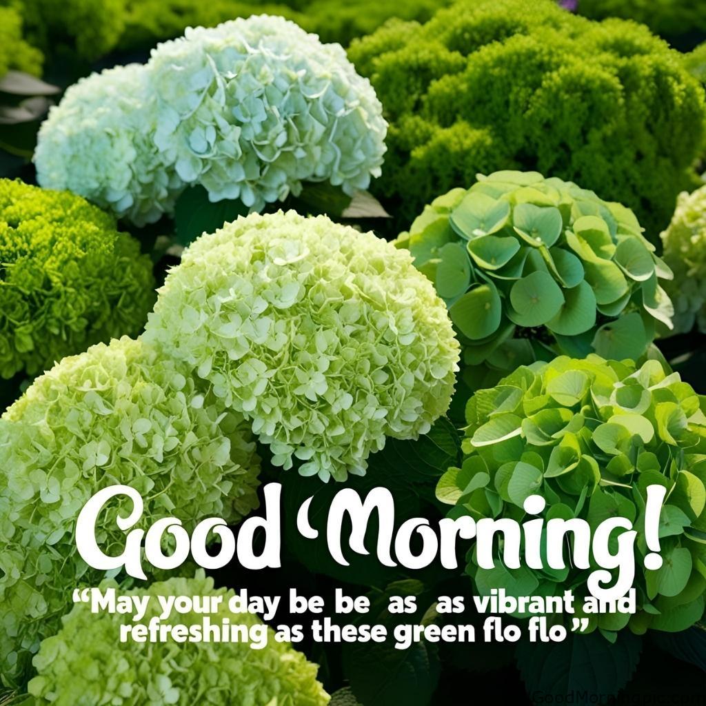 301+ Good Morning Flowers Images to Brighten Your Day 112 Good Morning Images with Green Flowers 2 Good Morning Flowers Images