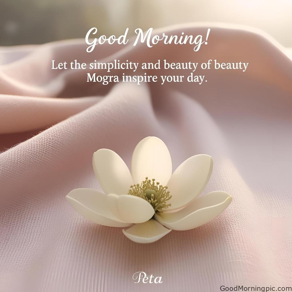 301+ Good Morning Flowers Images to Brighten Your Day 144 Good Morning Mogra Flower Images 3 Good Morning Flowers Images