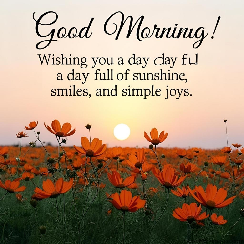 301+ Good Morning Flowers Images to Brighten Your Day 257 Good Morning Orange Flowers Images 5 Good Morning Flowers Images