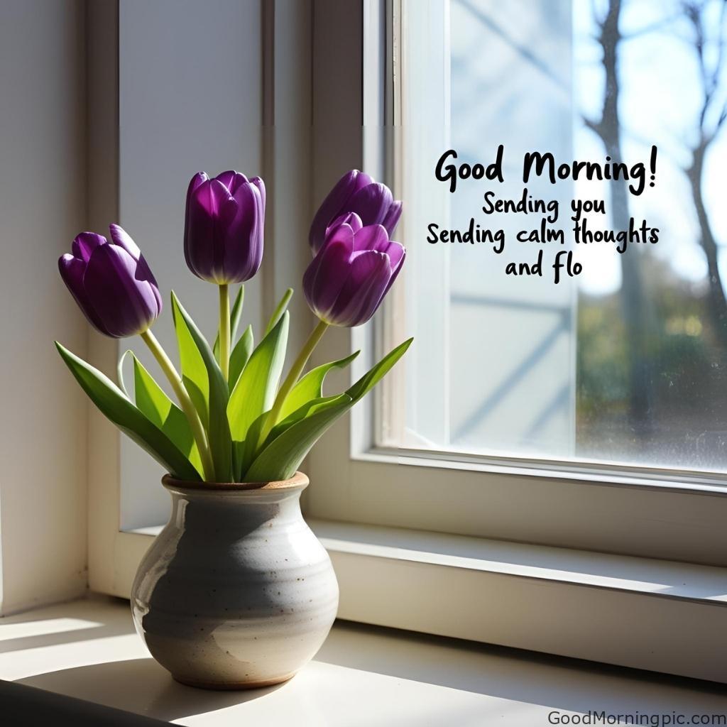 301+ Good Morning Flowers Images to Brighten Your Day 262 Good Morning Purple Flowers Images 5 Good Morning Flowers Images
