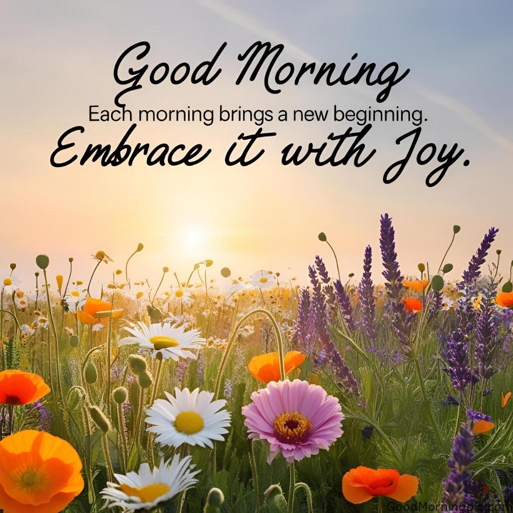 301+ Good Morning Flowers Images to Brighten Your Day 67 Good Morning Quotes with Flower Images Good Morning Flowers Images