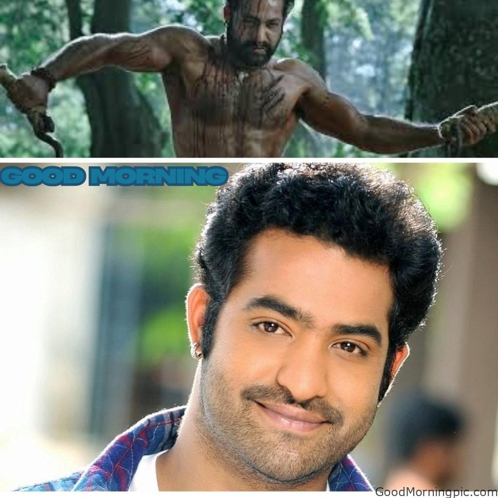 100+ Indian Actors Good Morning Images | Bollywood & South Stars 42 N.T. Rama Rao Jr. Jr NTR Good Morning Image Actors Good Morning Images