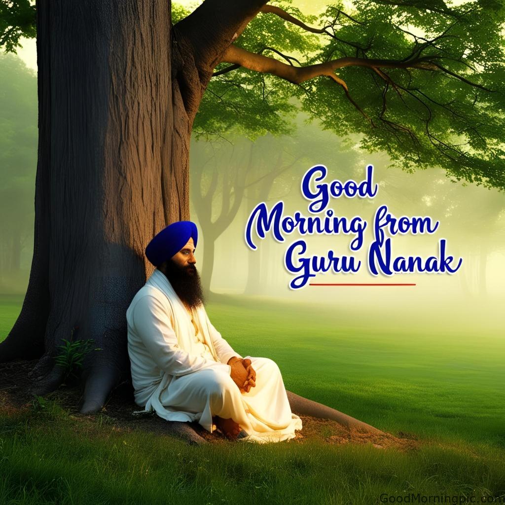 Guru Nanak sitting peacefully under a tree with gentle forest light